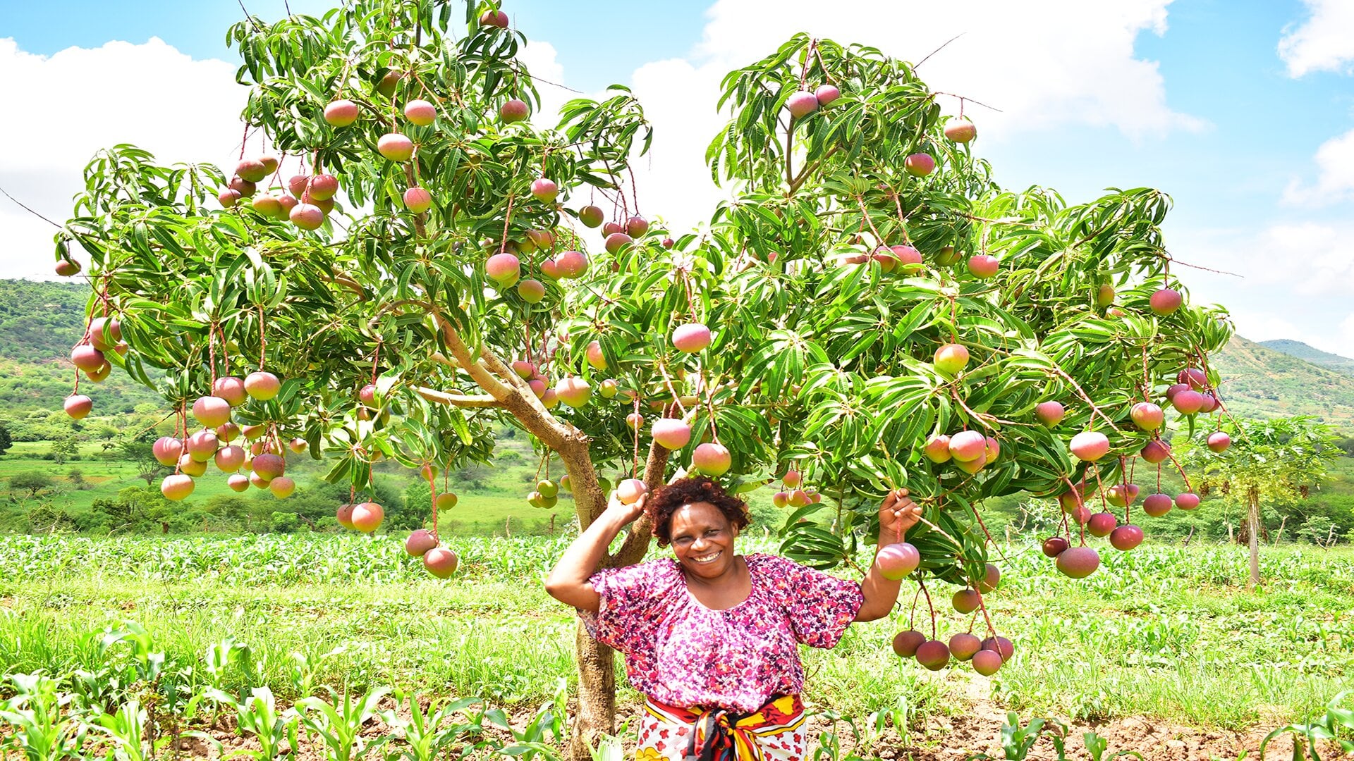 Zipporah - Mango farmer